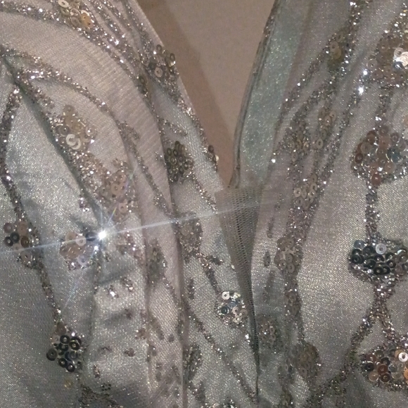 Silver Sequin Dress - Picture 2 of 4